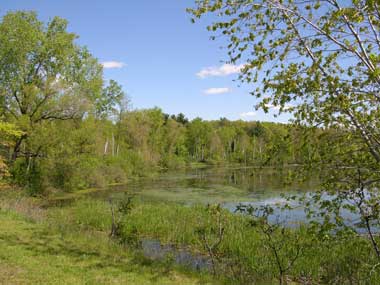 Part of the Green Circle bike trail follows the Plover River and McDill Pond.
