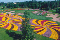Sentry World golf course - the flower hole