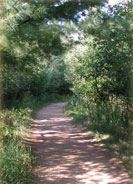 The Green Circle Biking and Hiking Trail - part of the university trail